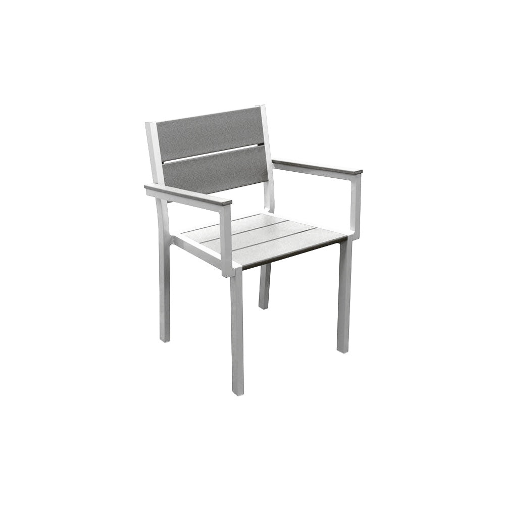 2309 Lorna Dining Chair — Metal Powder Coat — 9 White — digitally rendered color preview
