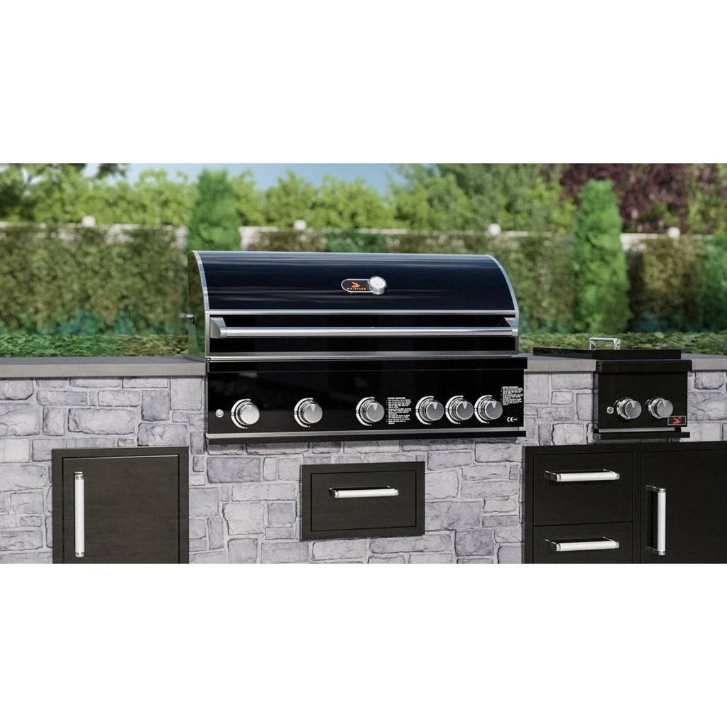 Whistler 42-Inch Black Stainless Steel Built-In 5 Burner Gas Grill