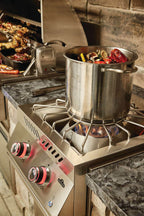 Napoleon Built-In 700 Series 18 Power Burner BIB18PBPSS