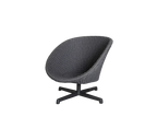 https://cdn.shopify.com/s/files/1/0580/8072/3044/files/Cane-line-Peacock-Lounge-Chair-with-Swivel.webp?v=1746015040