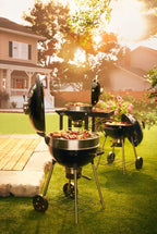 Napoleon Professional 22 Charcoal Kettle Grill PRO22K-LEG-3