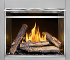 Napoleon Riverside Outdoor Gas Fireplace RSS42