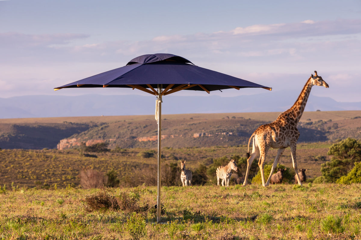 Woodline Pacific poolside umbrella lifestyle