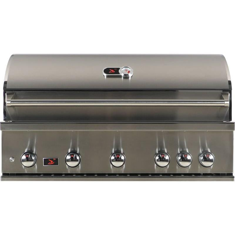 Whistler 42-Inch 5-Burner Built-In Gas Grill with Rear Infrared Burner, Grill Lights, Rotisserie Kit & Cover