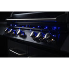 Whistler 42-Inch 5-Burner Built-In Gas Grill with Rear Infrared Burner, Grill Lights, Rotisserie Kit & Cover - Black Stainless