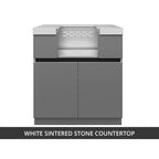 Whistler 31-Inch Stainless Steel Power Burner Cabinet