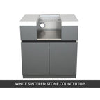 Whistler 31-Inch Stainless Steel Side Burner Cabinet